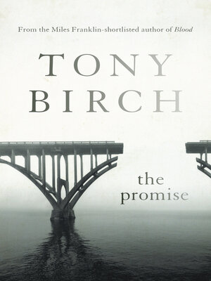 cover image of The Promise